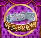 连接心灵的纽带，赋能发展的桥梁